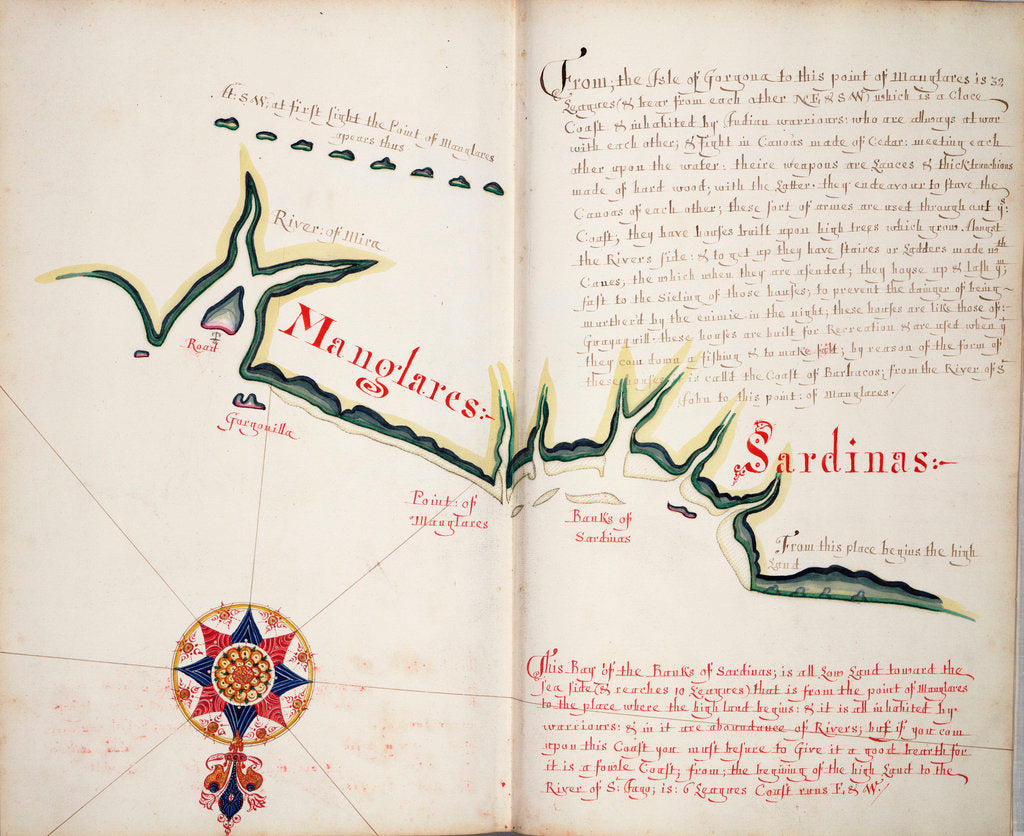 Detail of Manglares, Bahia de Ancon de Sardinas by William Hack