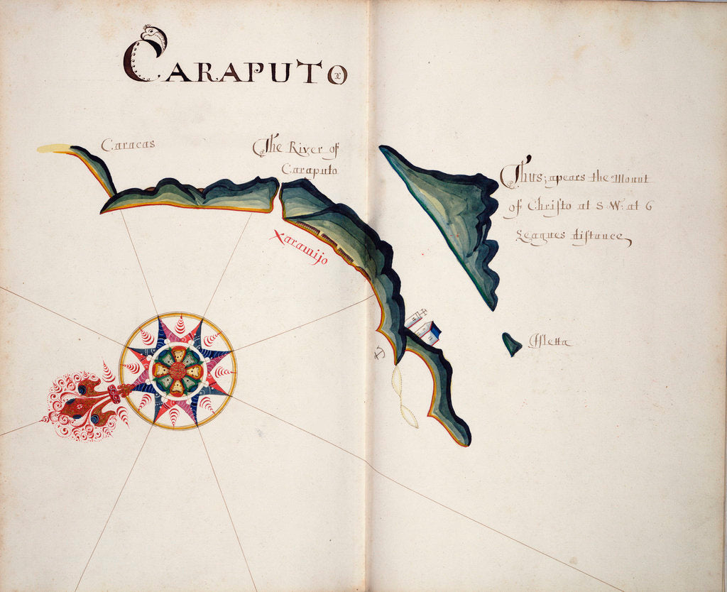 Detail of Caraputo by William Hack