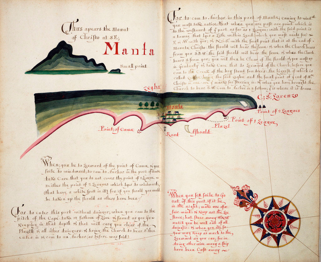 Detail of Manta by William Hack
