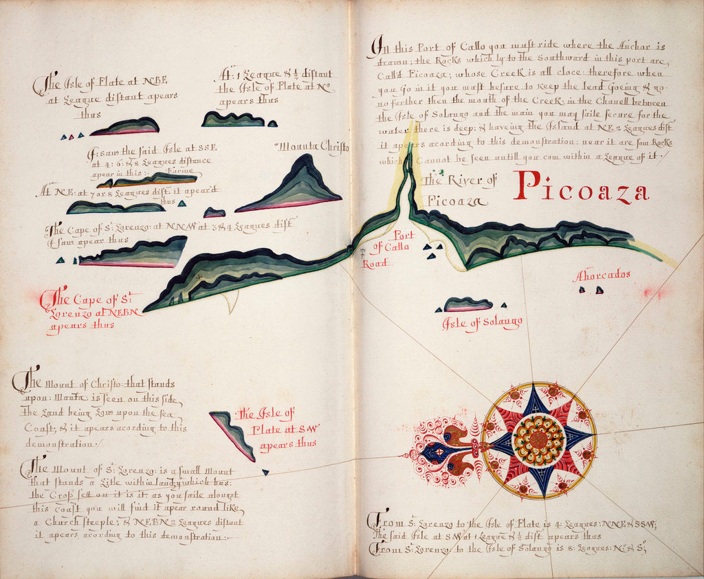 Detail of Picoaza by William Hack