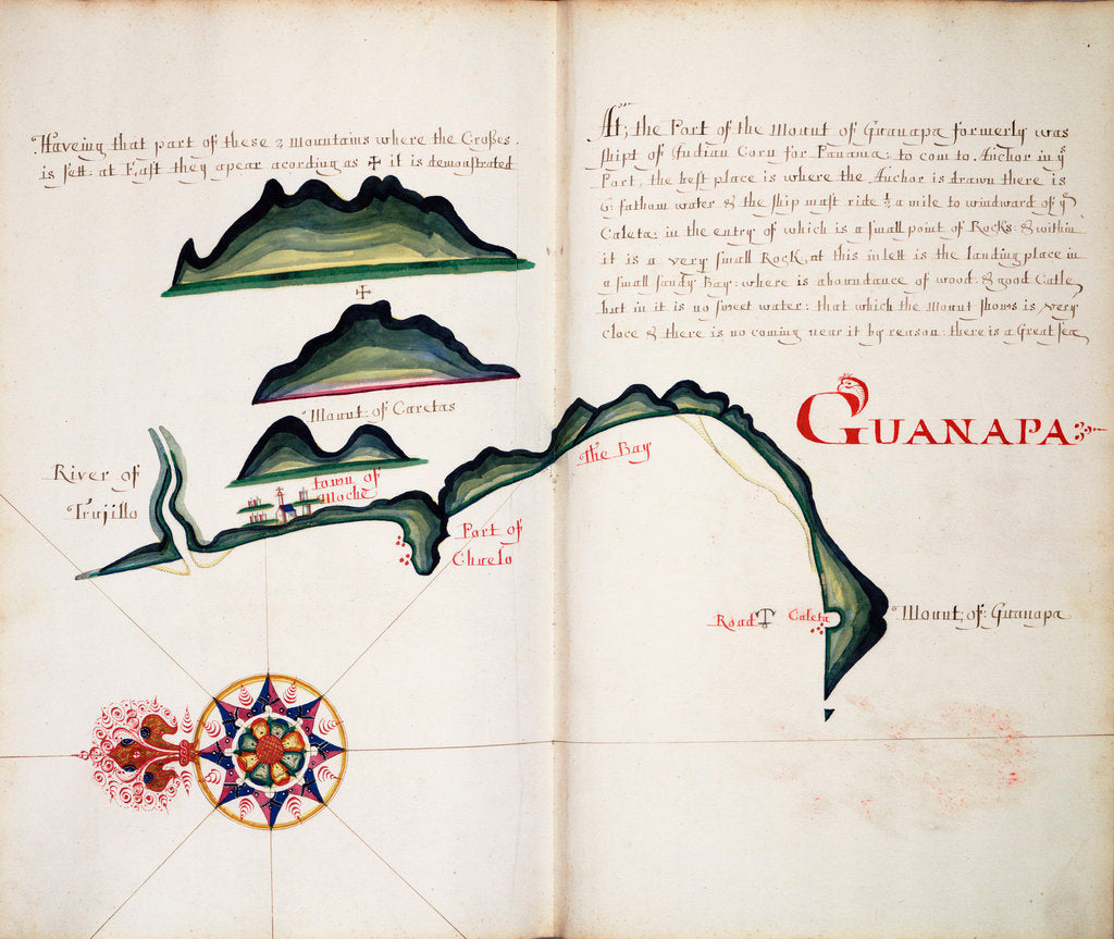 Detail of Guanapa by William Hack