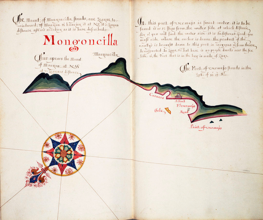 Detail of Mongoncilla by William Hack
