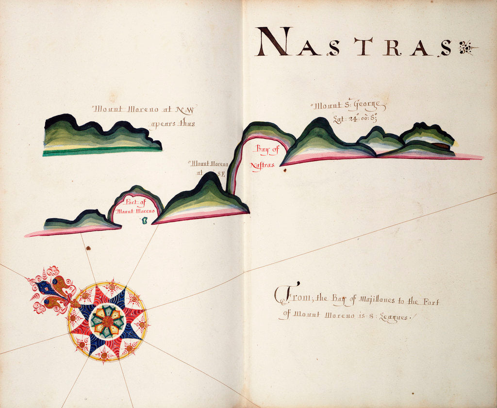Detail of Nastras, South American Pacific coast by William Hack