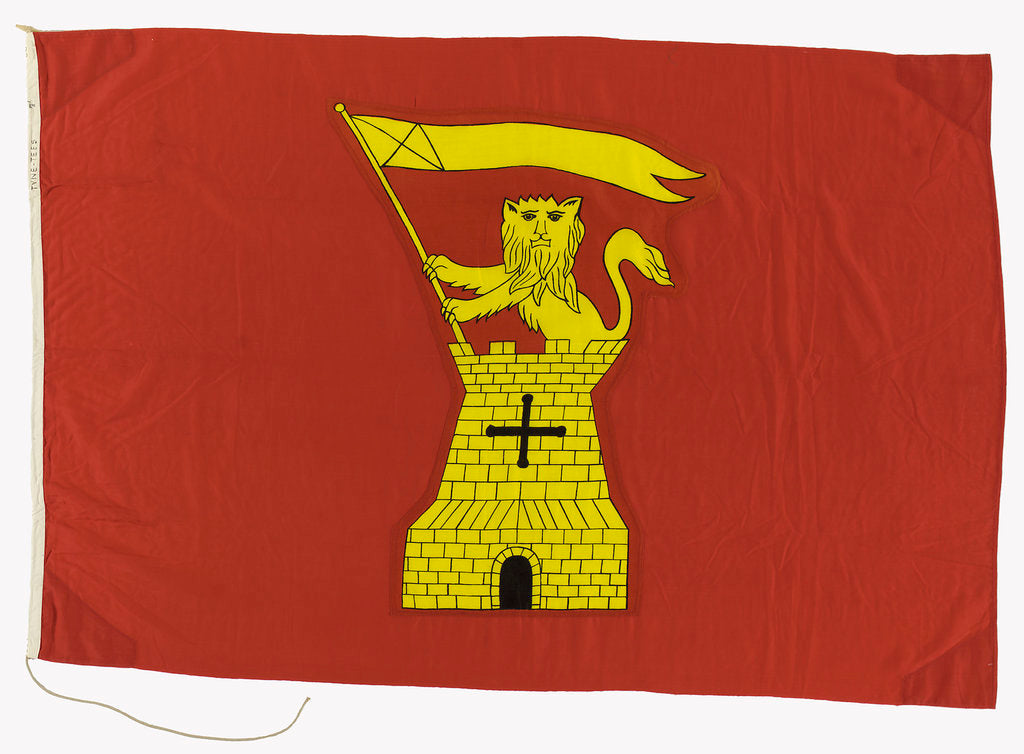 Detail of House flag, Tyne-Tees Steam Ship Co. Ltd by unknown