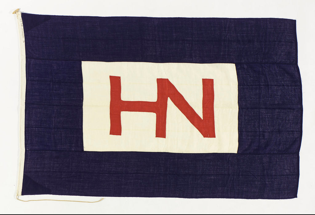 Detail of House flag, Hain Nourse Management Ltd by unknown