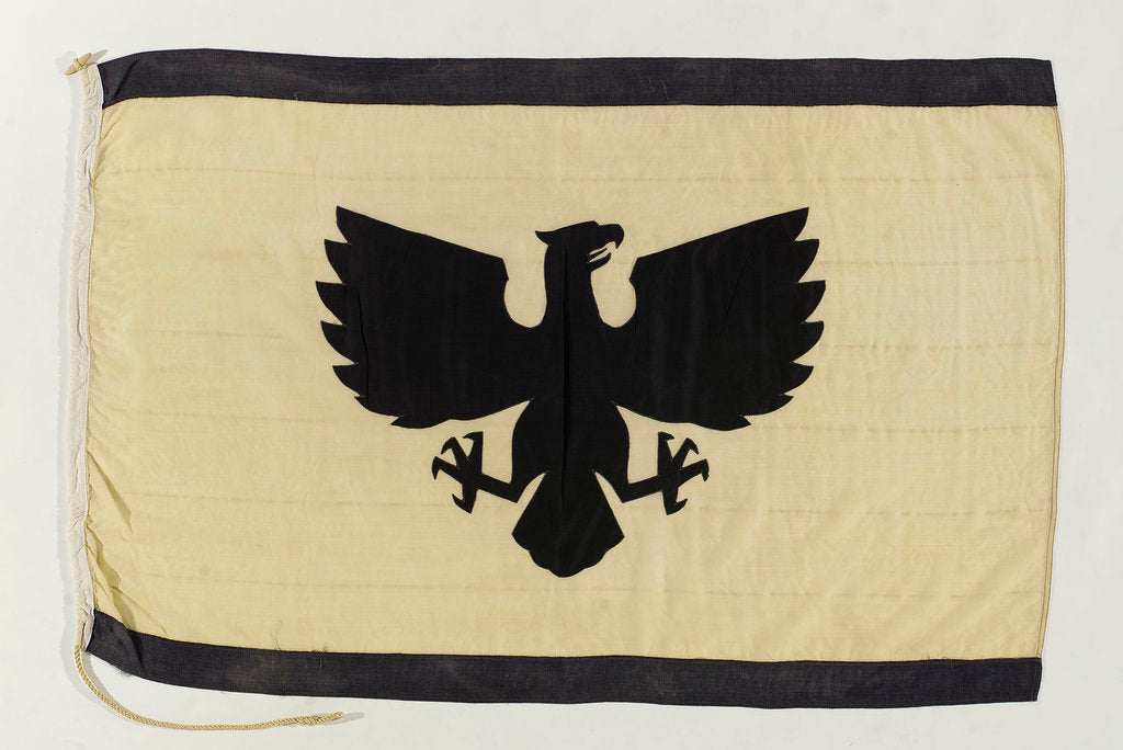 Detail of House flag, Eagle Oil Shipping Co. Ltd by unknown