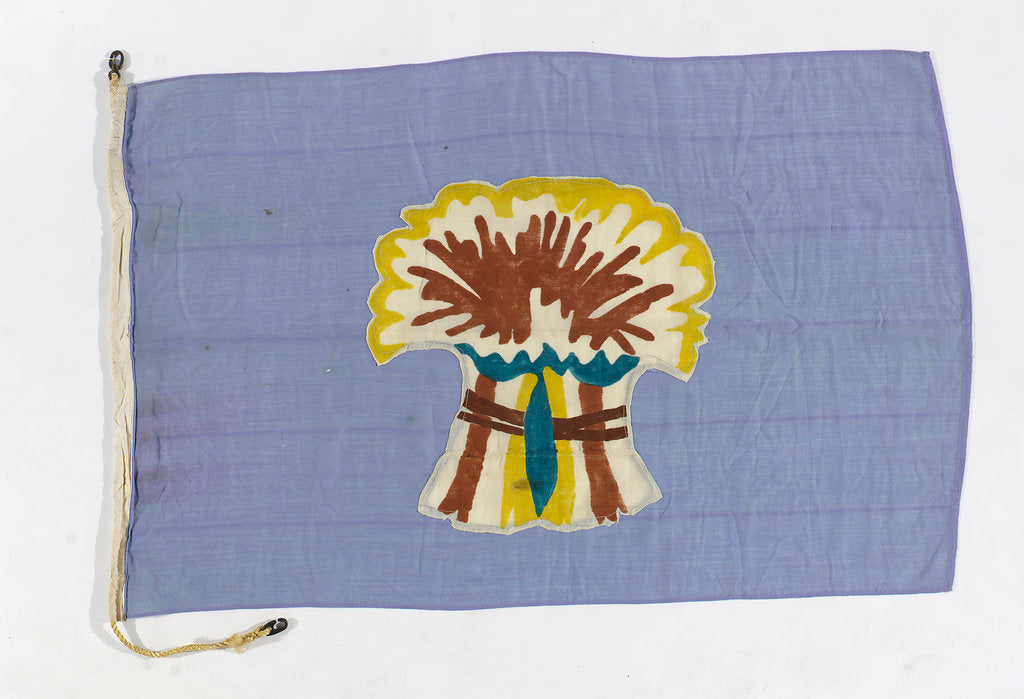 Detail of House flag, Sheaf Steam Shipping Co. Ltd by unknown