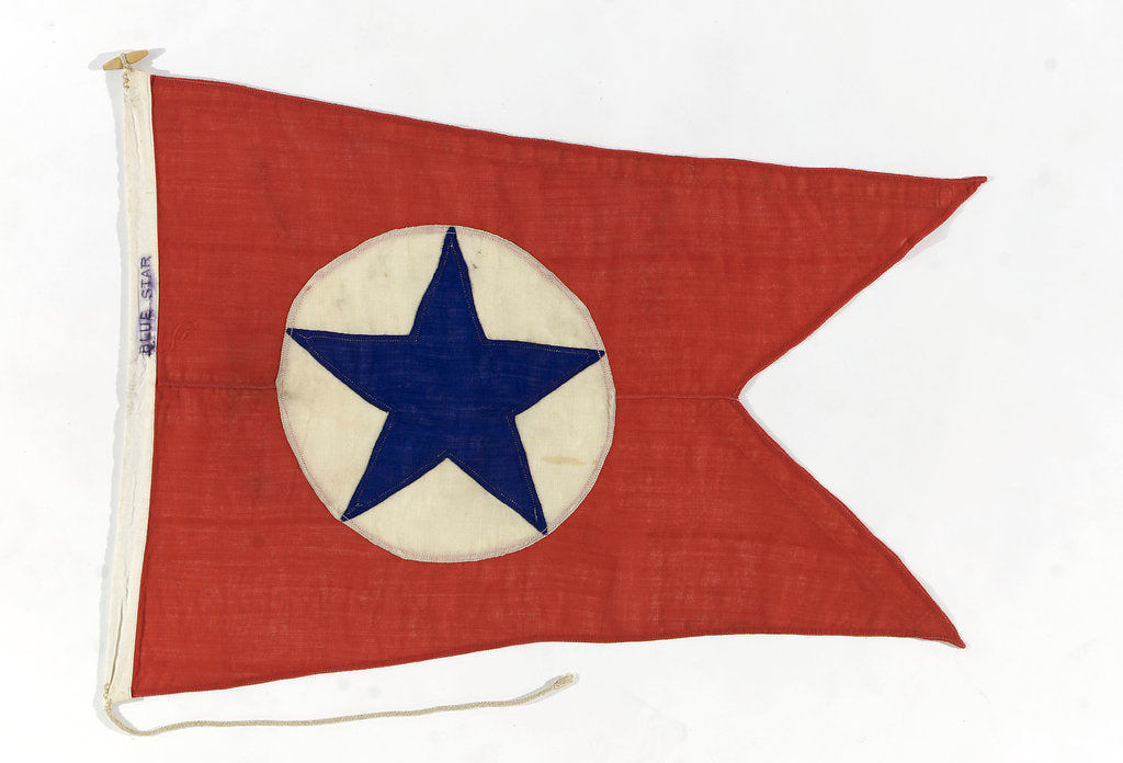 Detail of House flag, Blue Star Line Ltd by unknown