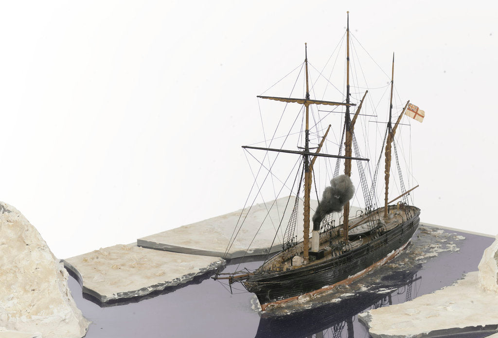 Detail of 'Fox', port by unknown