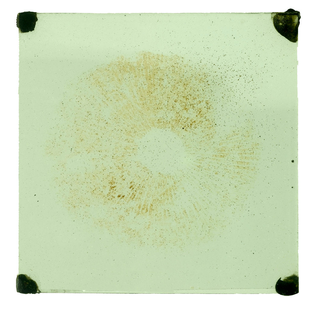 Detail of One double square piece of glass by unknown