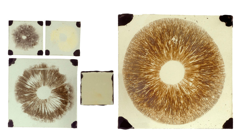Detail of Five double plates of square glass of various sizes by unknown