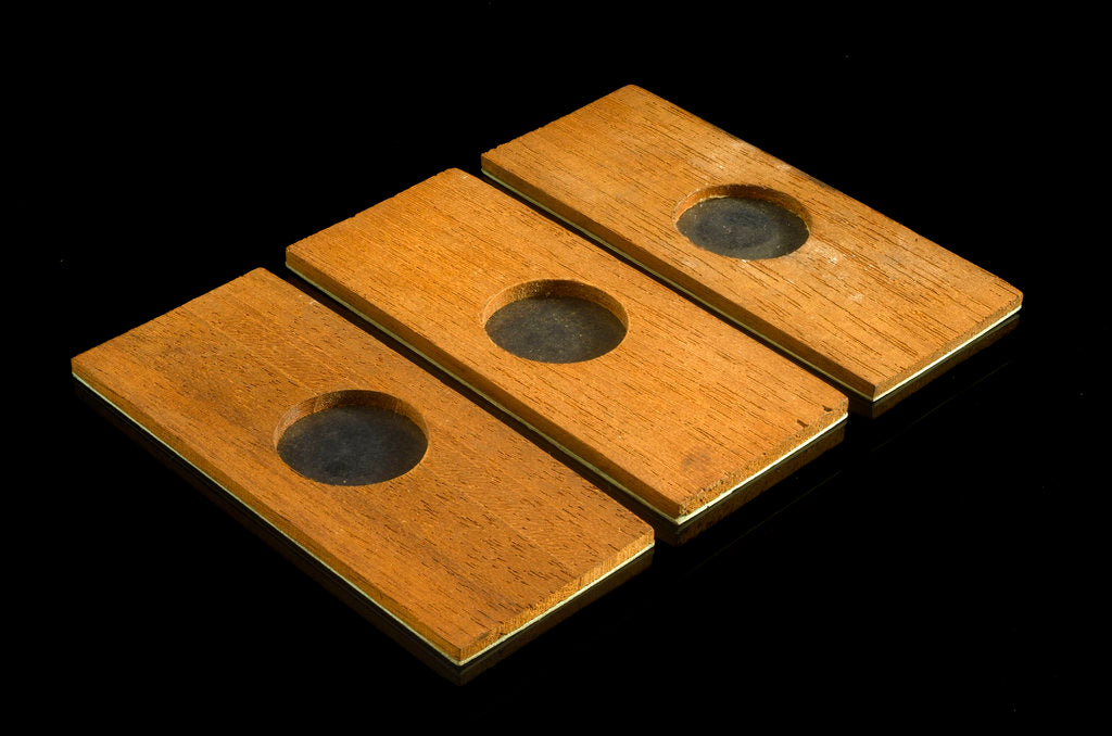 Detail of Three microscope or specimen holders by unknown