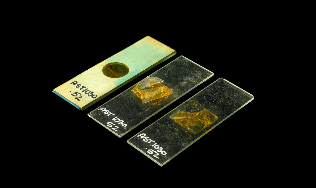 Detail of Slides by unknown