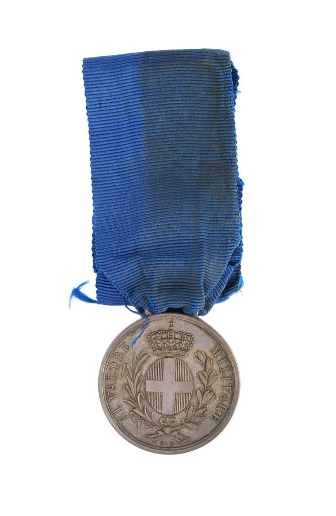 Detail of Sardinian Medal for Valour, obverse by F. Galeazzi
