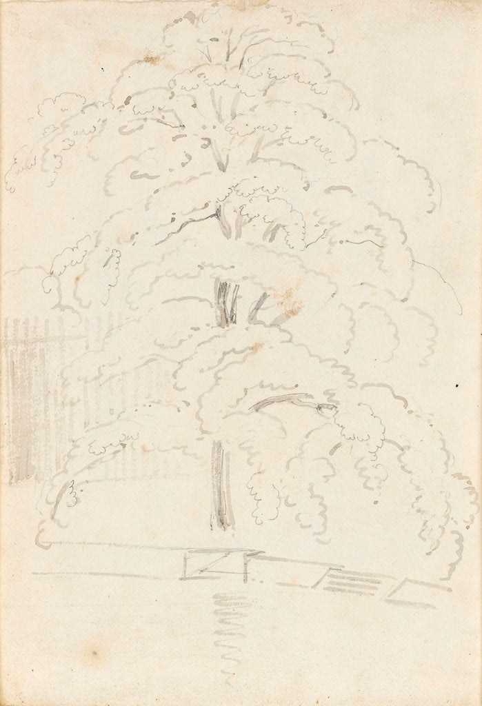 Detail of A study of a tree over water (verso) by Thomas Baxter