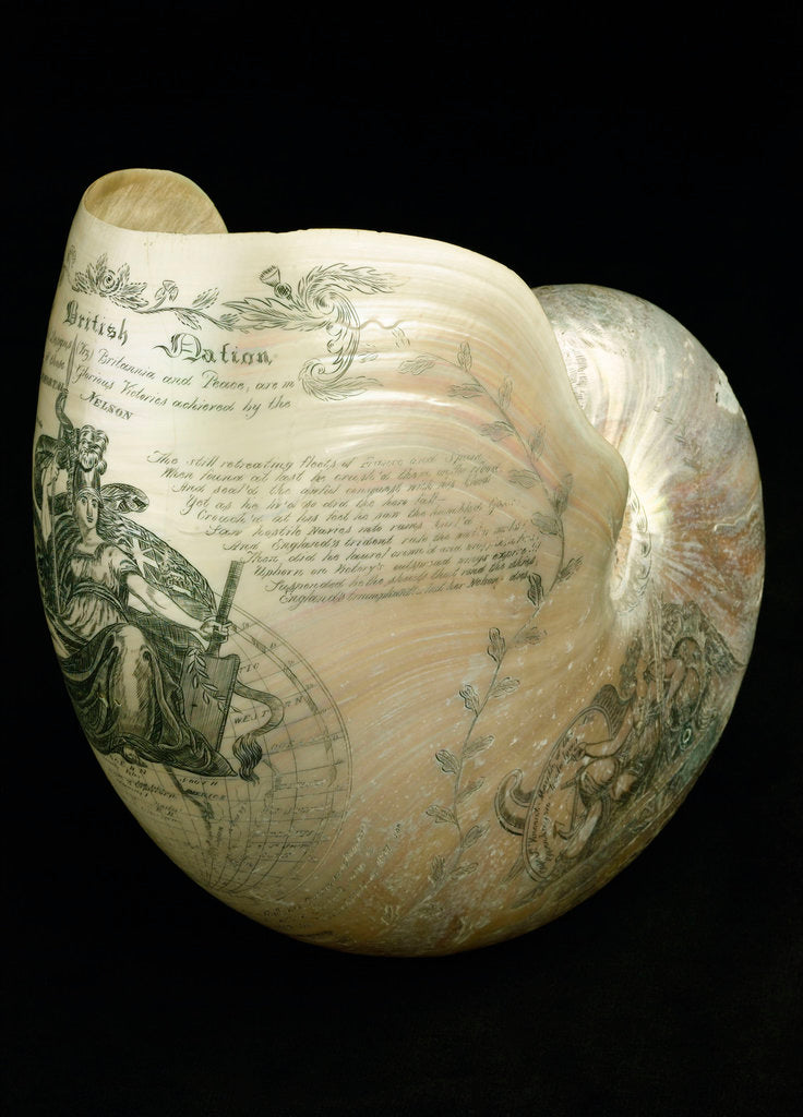 Detail of Engraved nautilus shell commemorating Nelson's victories by C. H. Wood