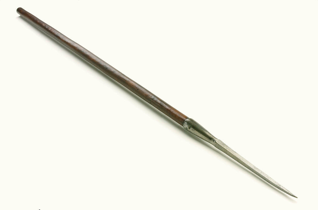 Detail of Pike by unknown