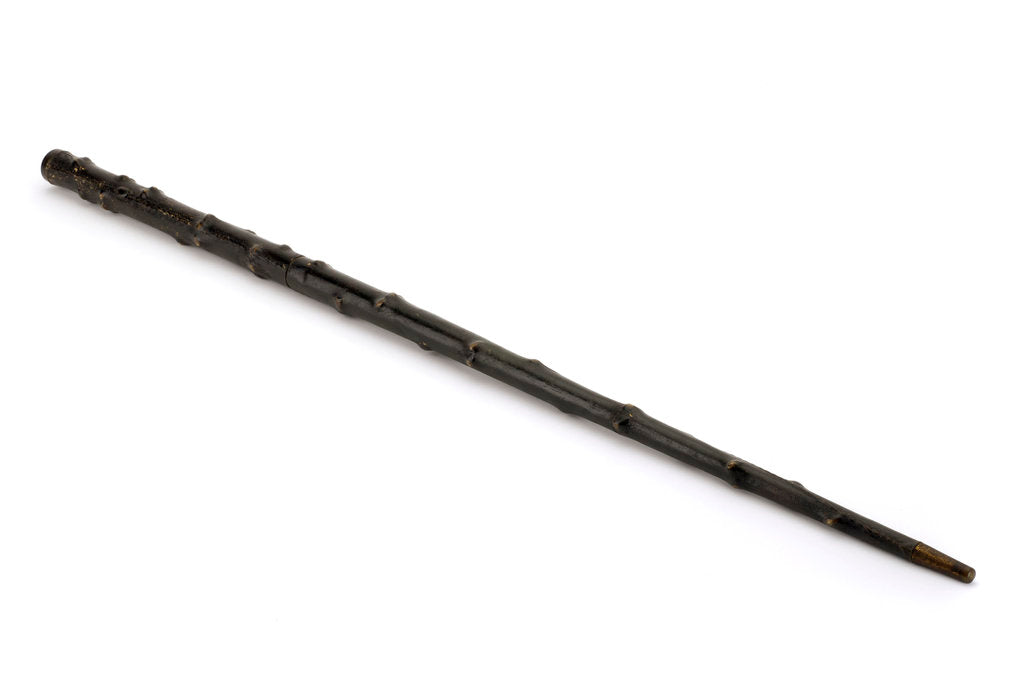 Detail of Walking stick telescope by Thomas Harris & Son