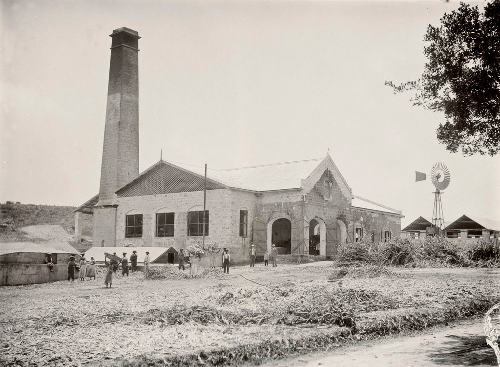 Detail of Applewhaites Barbados sugar works facing NE by unknown