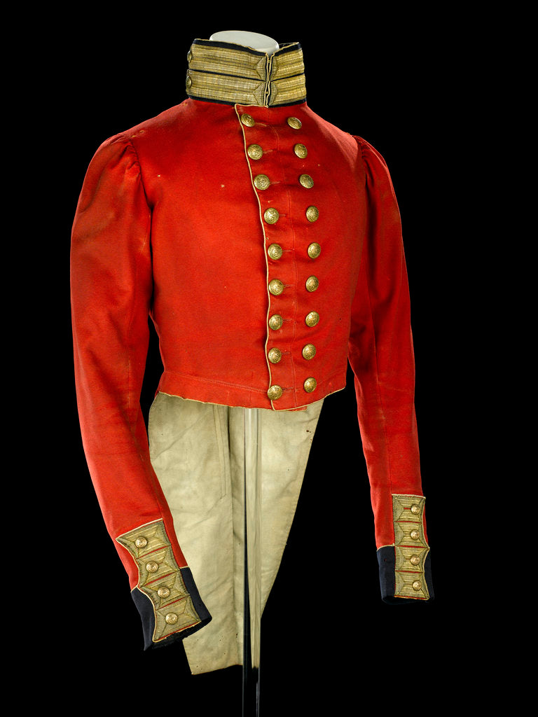 Detail of Coatee, Royal Marines uniform: pattern 1830 by unknown