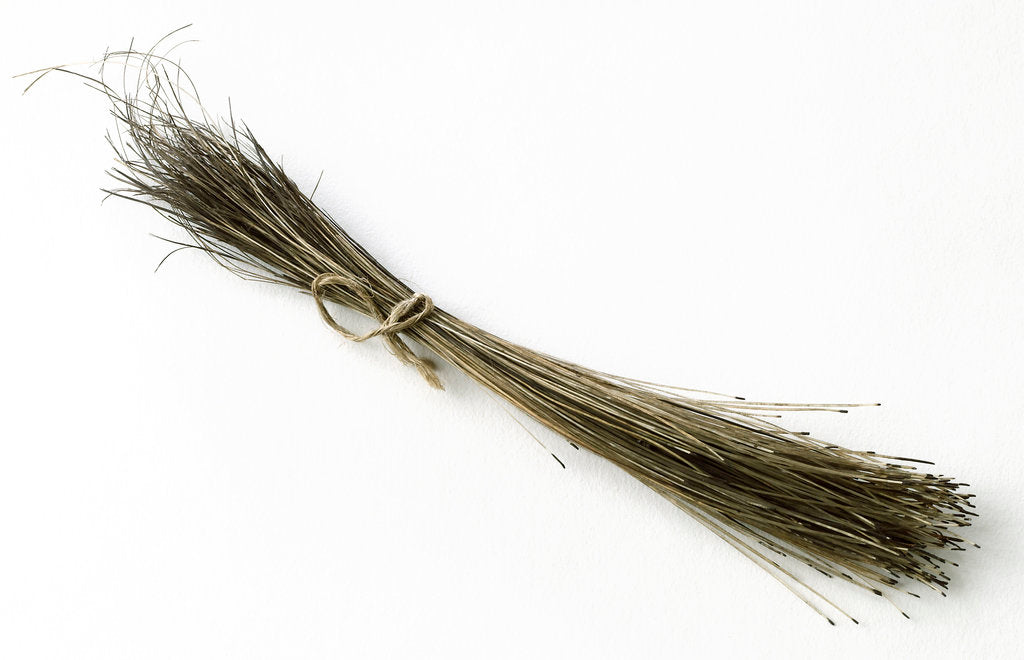 Detail of Bristles by unknown