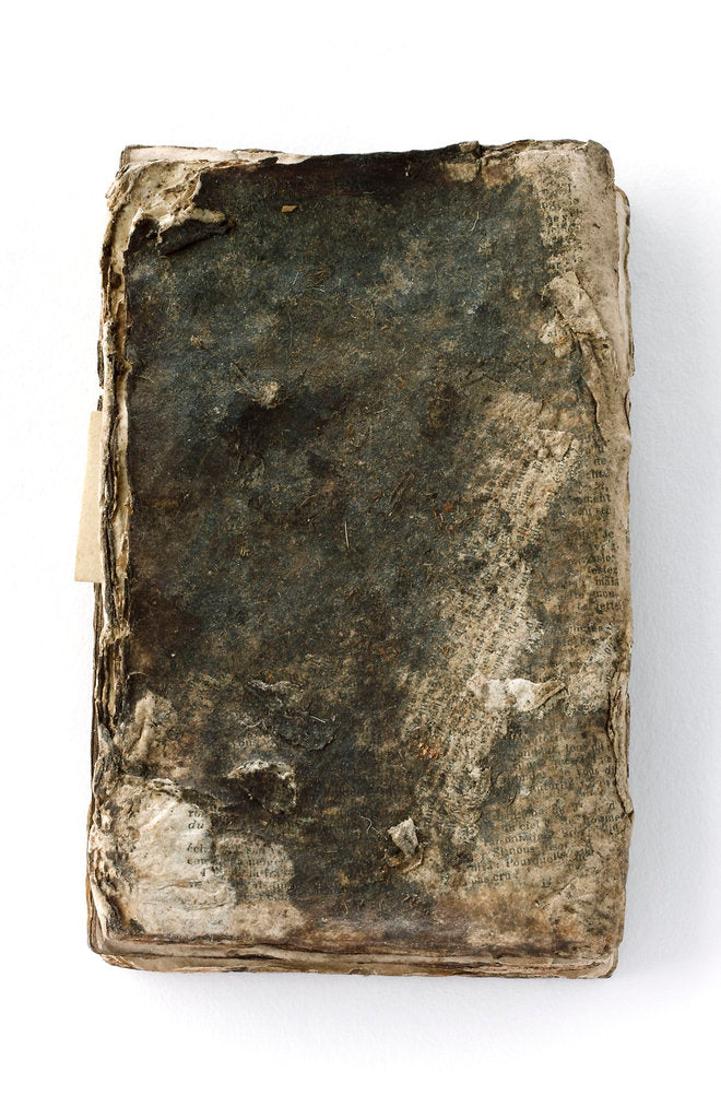 Detail of French New Testament' back by unknown