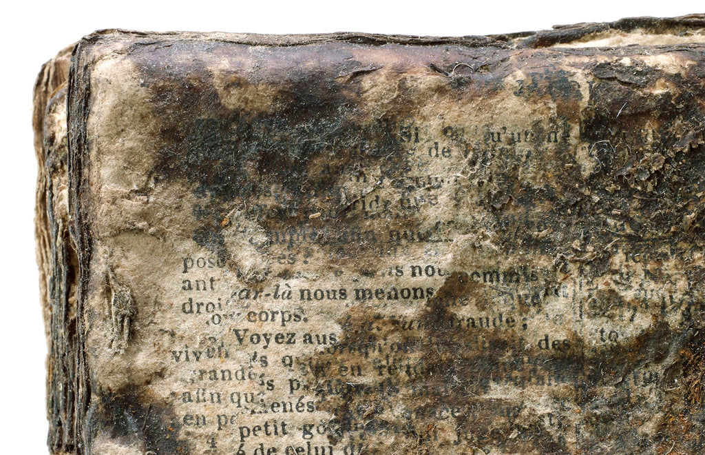 Detail of French New Testament' detail by unknown
