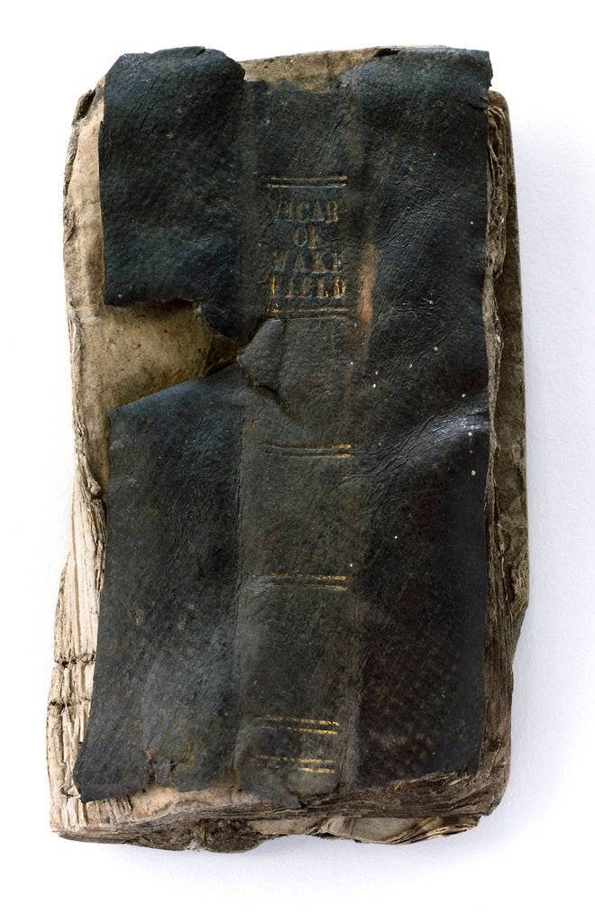 Detail of The Vicar of Wakefield' cover by unknown