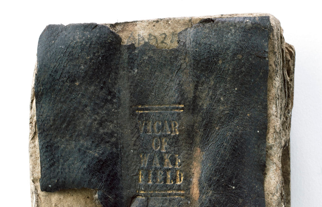 Detail of The Vicar of Wakefield' spine detail by unknown