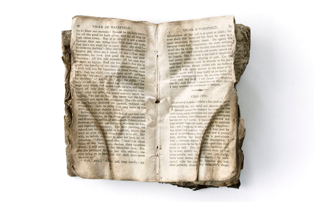 Detail of The Vicar of Wakefield' double page spread by unknown