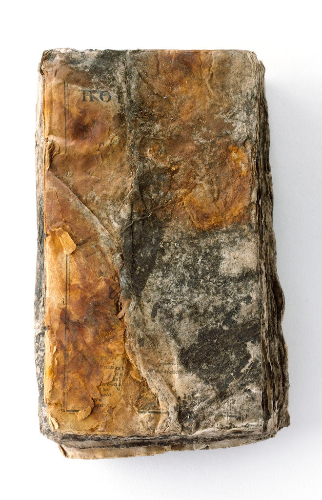 Detail of Bible - back by unknown