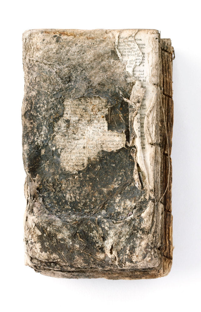 Detail of Bible - back by unknown