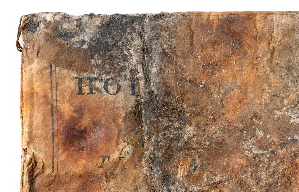 Detail of Bible - back by unknown