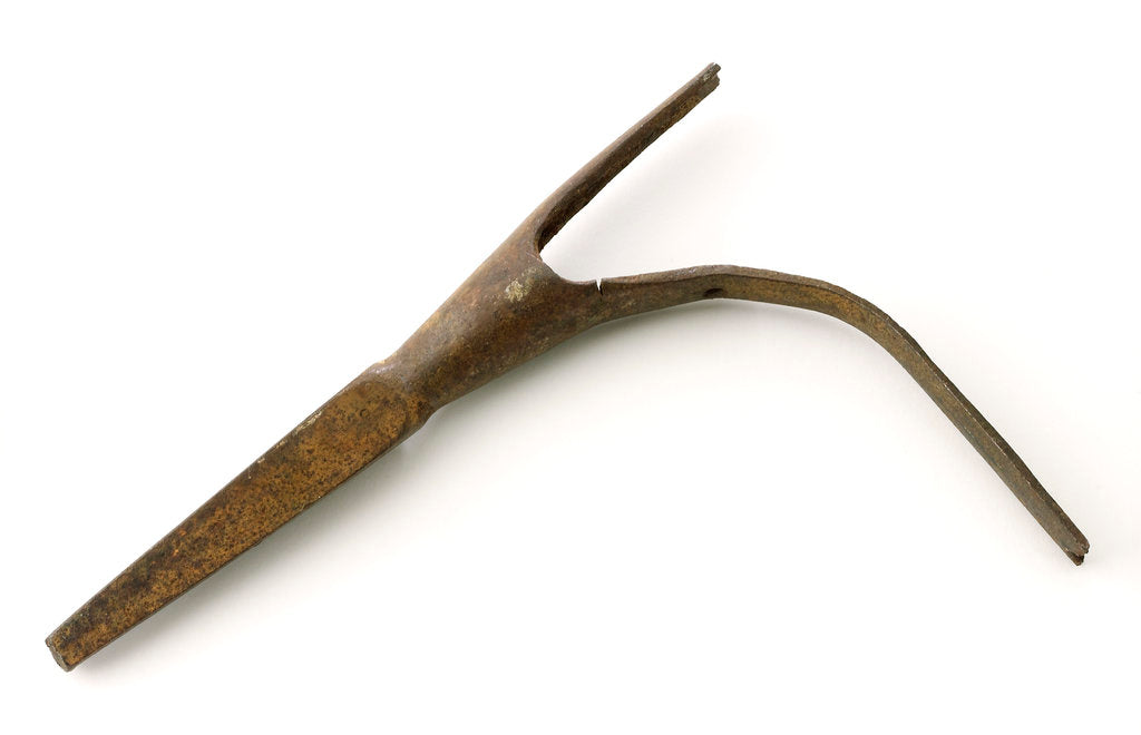 Detail of Pike head by unknown