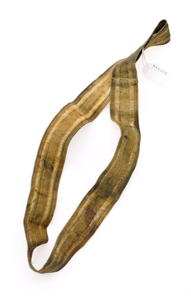 Detail of Ribbon by unknown