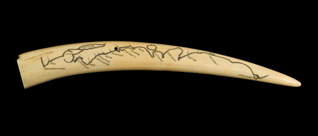 Detail of A cribbage board and two pegs, carved from a walrus tusk with a polar bear, walrus head, and three seals carved in relief by Inuit