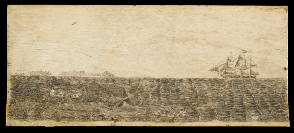 Detail of A whalebone panel engraved with a scene showing a whaling vessel in full sail on the horizon by unknown