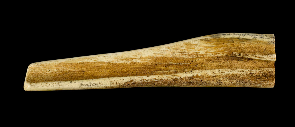 Detail of Resin imitation of a whalebone pan bone plaque by Juratone Co. Ltd.