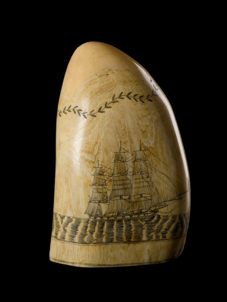 Detail of Whale tooth by unknown