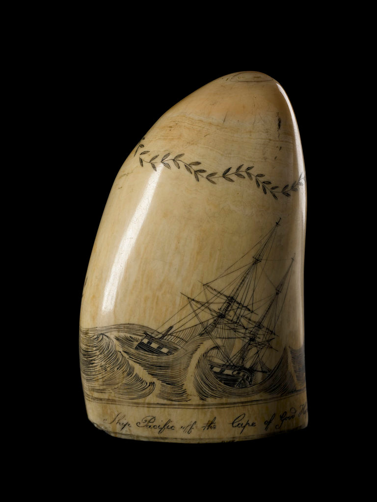 Detail of Whale tooth by unknown
