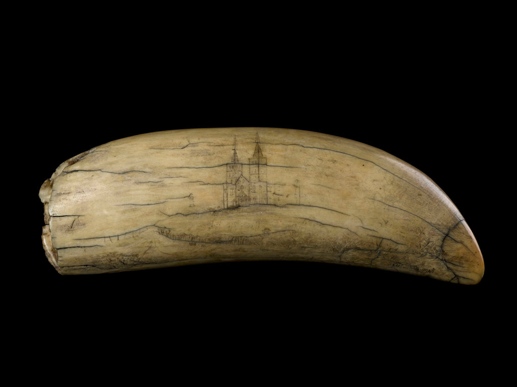 Detail of Whale tooth by unknown