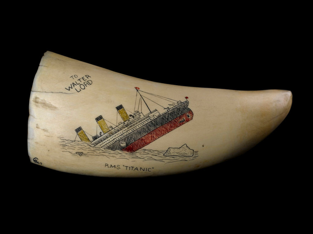 Detail of Whale tooth by unknown