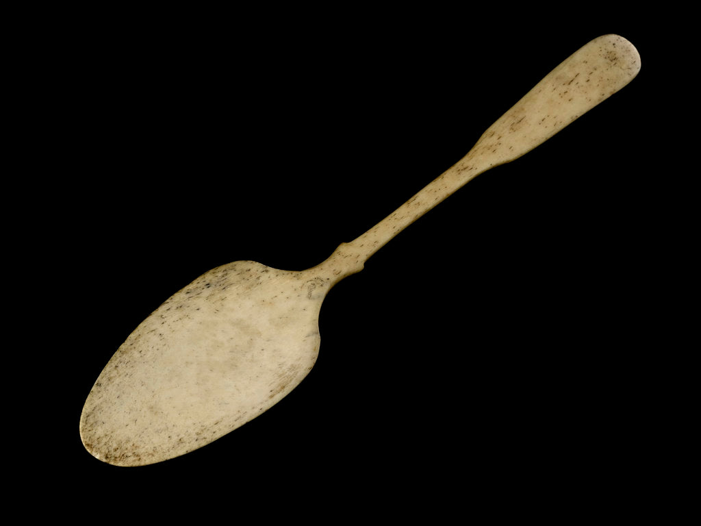 Detail of Whalebone spoon by unknown