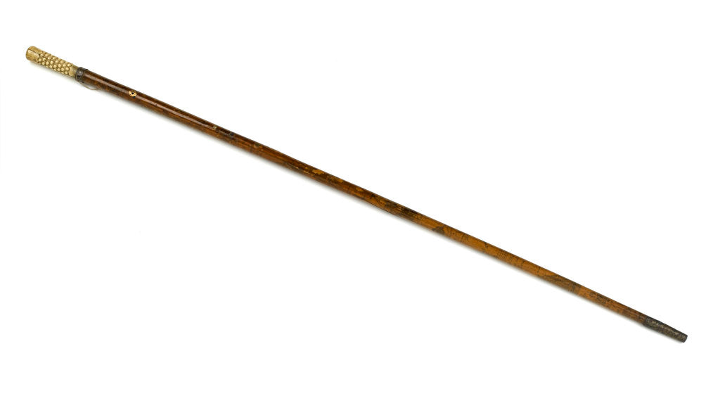 Detail of Walking stick by unknown