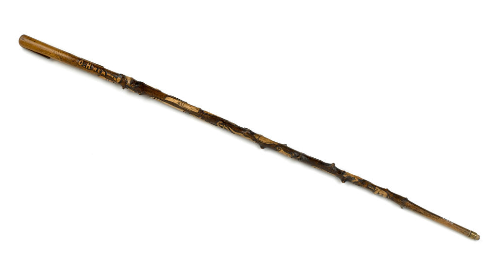 Detail of Walking stick by unknown
