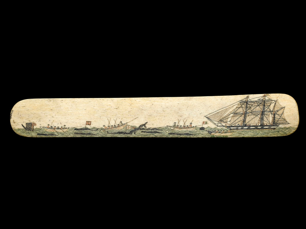 Detail of A scrimshaw staybusk made of whalebone by unknown