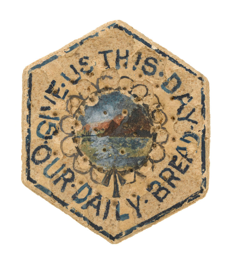 Detail of Ship's biscuit by unknown