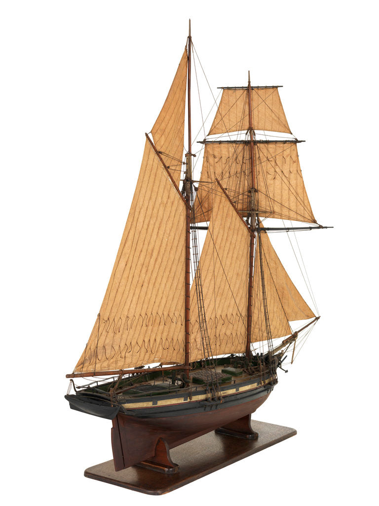Detail of Yacht 'Flora', starboard stern quarter by unknown
