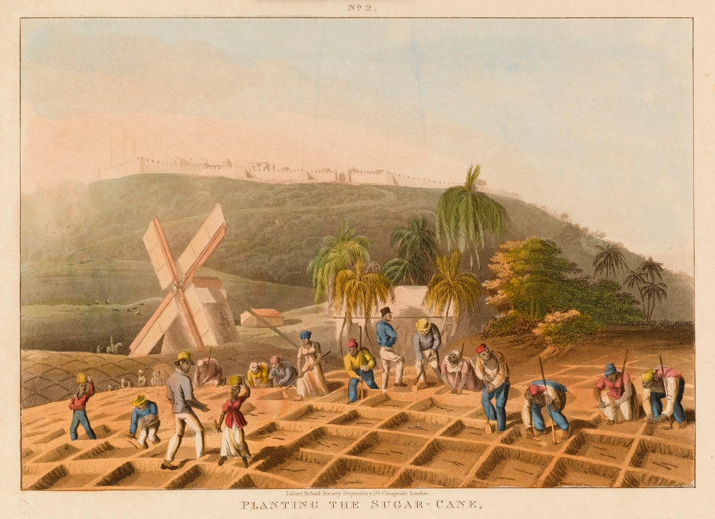 Detail of Planting the sugar cane by Infant School Society Depository