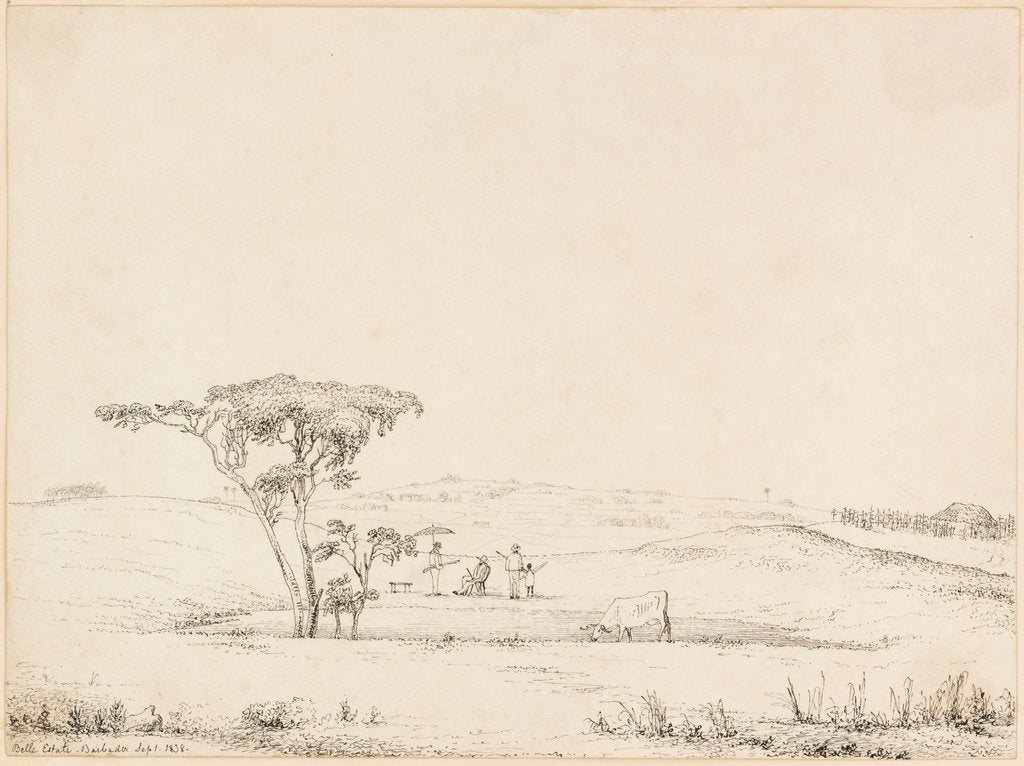Detail of Belle Estate, Barbados by British School